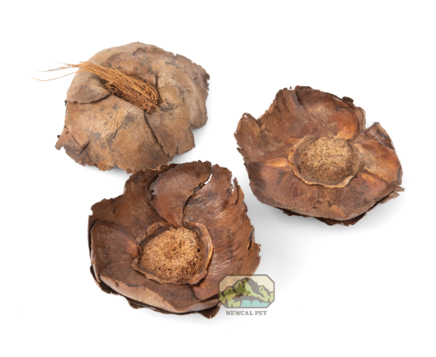 Newcal Coco Flowers, 1 oz.