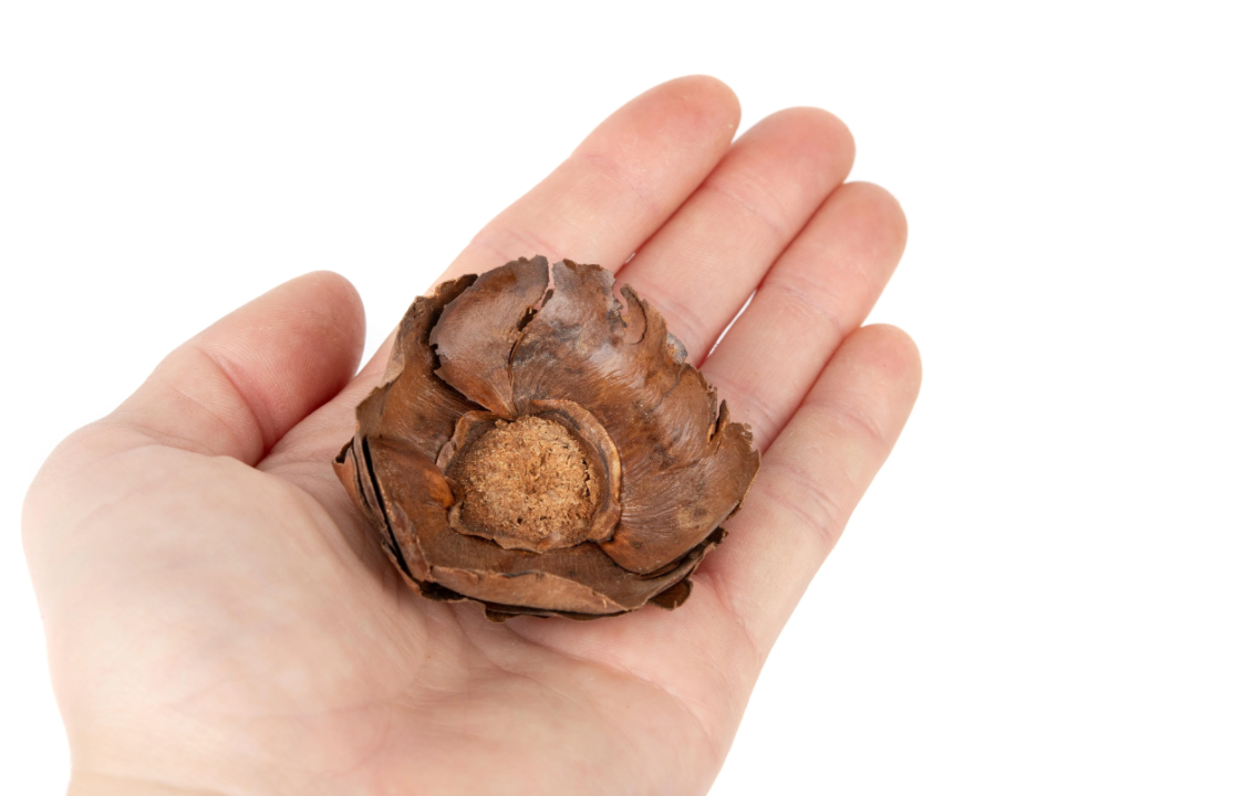 Newcal Coco Flowers, 1 oz.