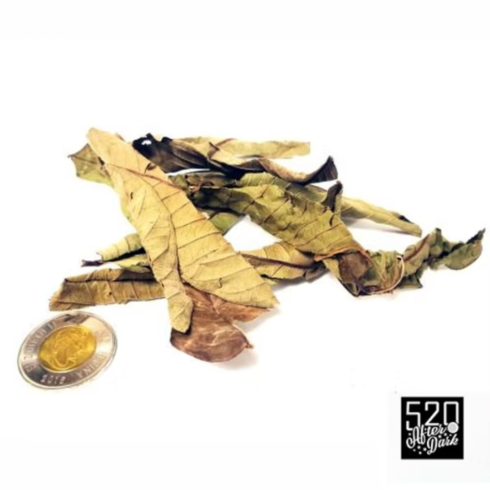 Guava Leaves