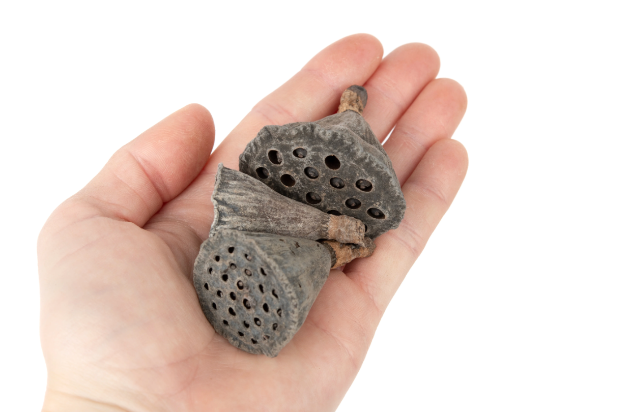 NewCal Lotus Pods Mini, 10 pack