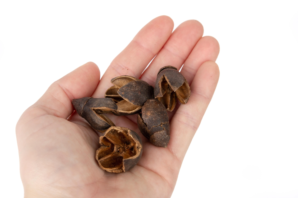 NewCal Bakuli Pods, 1oz.