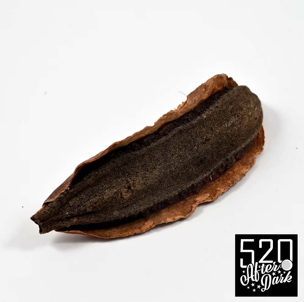 Kielmeyera Pods, 3 Pack