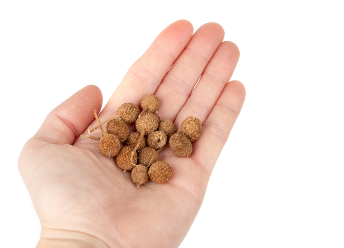 NewCal Rod pods, 0.5oz