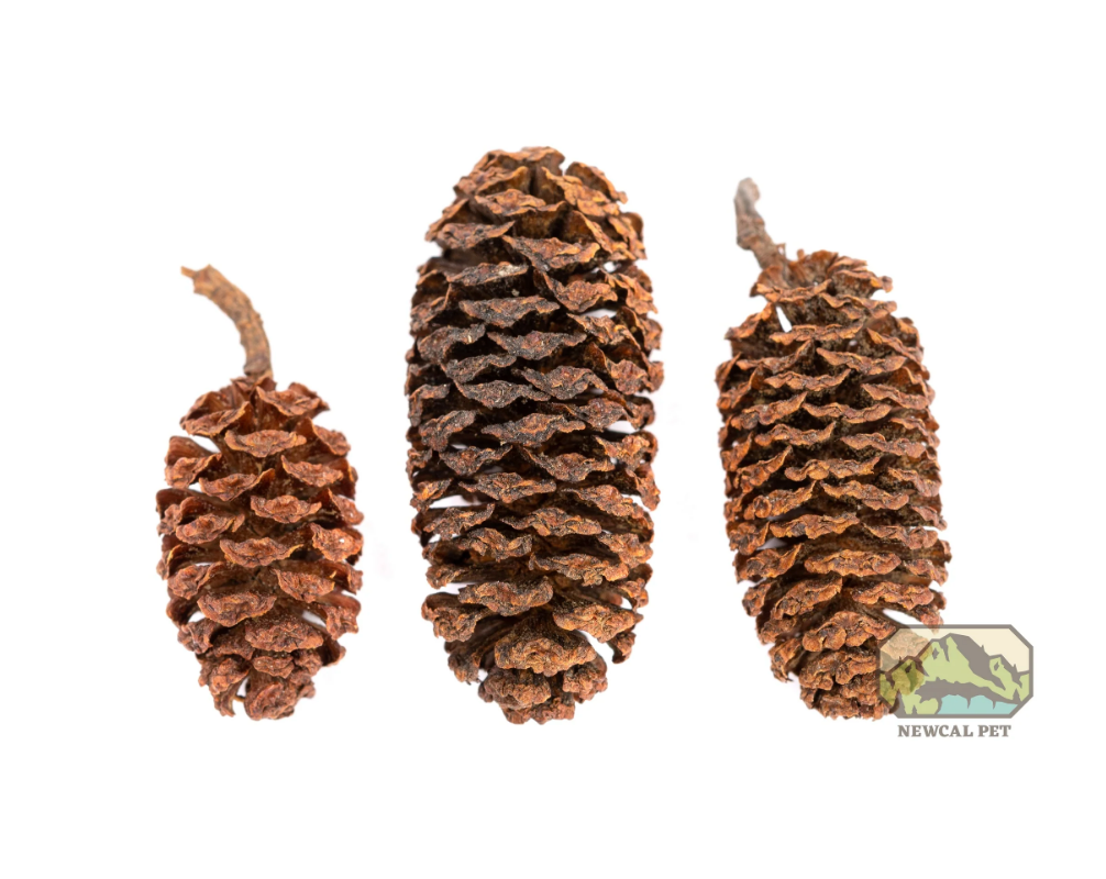 NewCal Alder Cones - 1oz