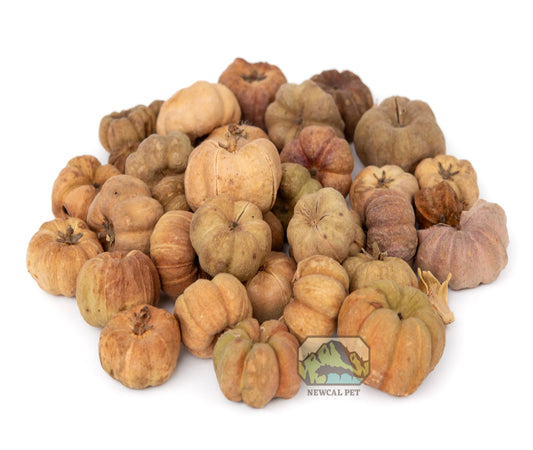 NewCal Mini Pumpkin Pods, 1 oz.