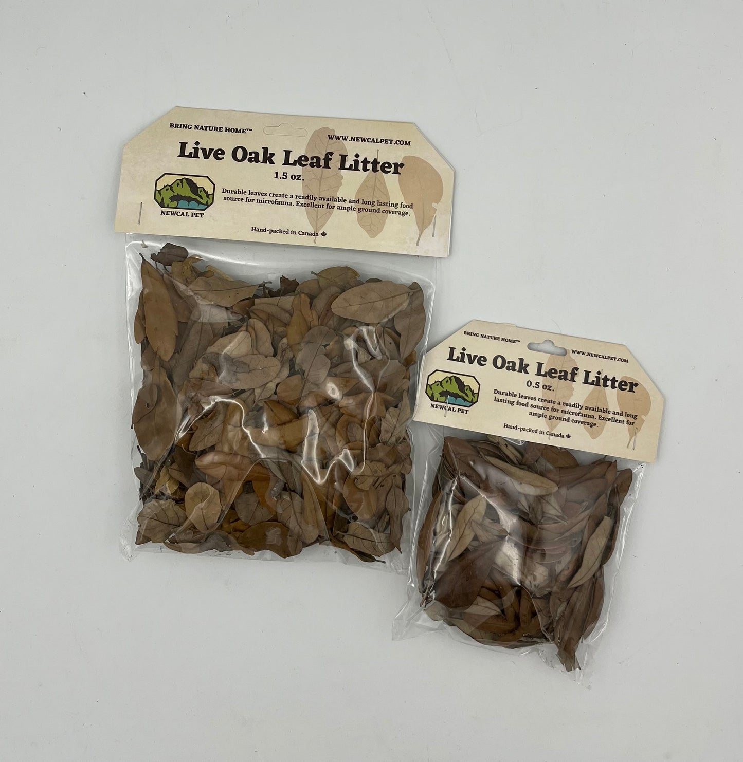 Newcal live oak leaf litter