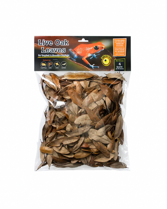 Galapagos live oak leaf litter - 4 Quarts