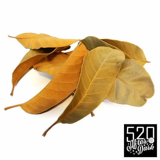 Mandioca Leaves - Pack of 5