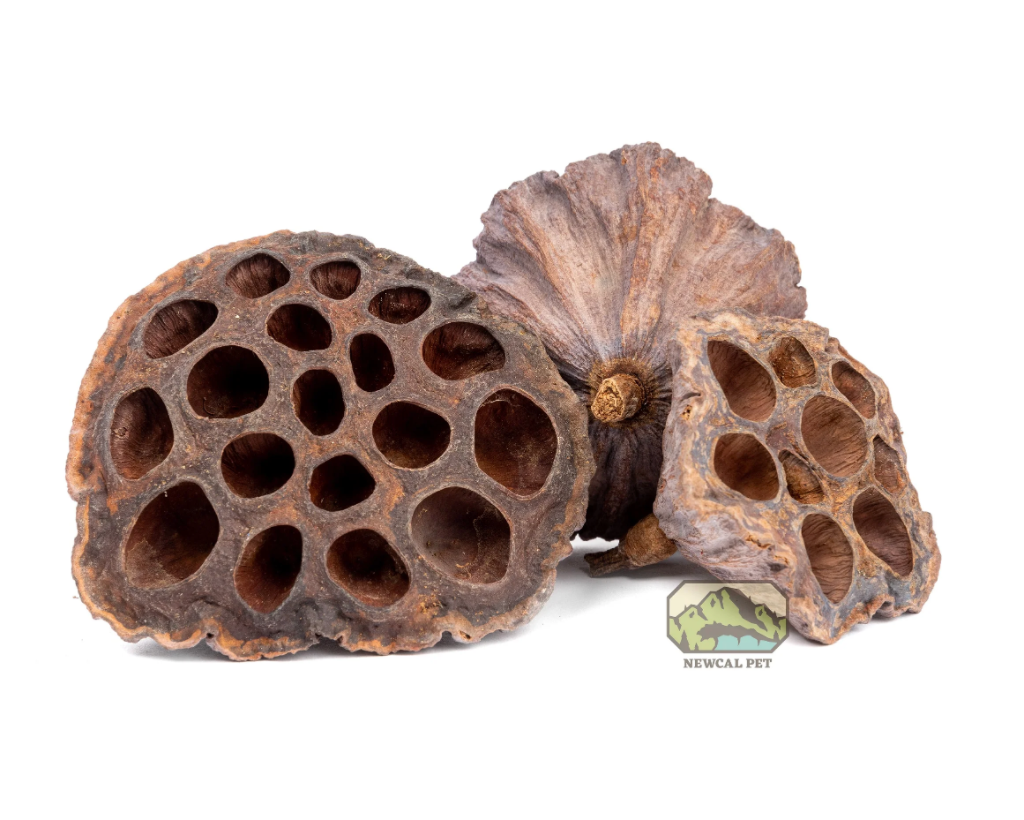 NewCal Lotus Pods, 3 pack