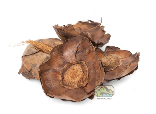 Newcal Coco Flowers, 1 oz.