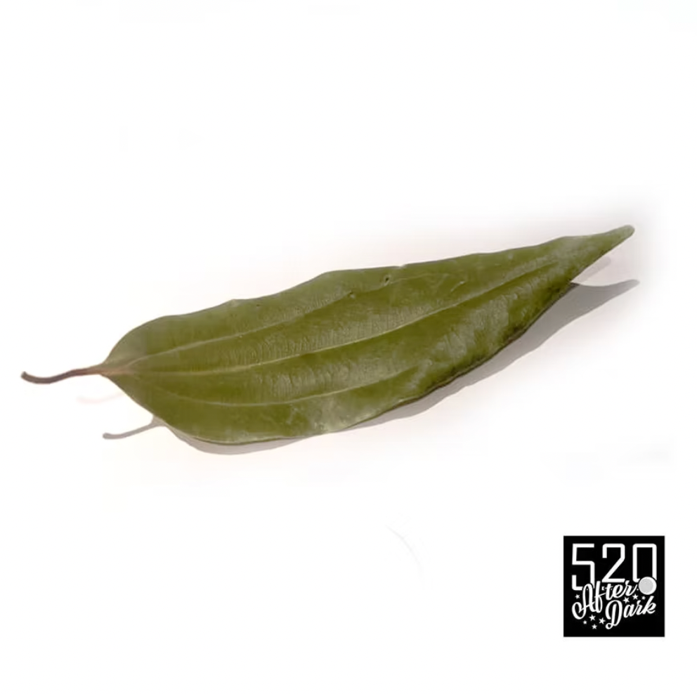 Cinnamon Leaves (10 pack)
