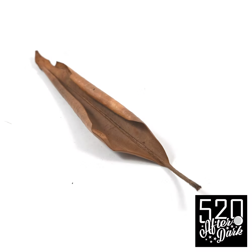Mangrove Leaves (10 pack)