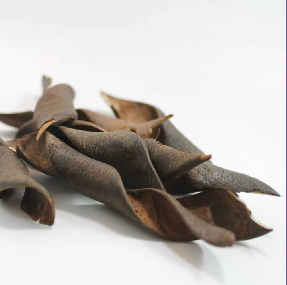 Kachna Tree Pods (3 pack)