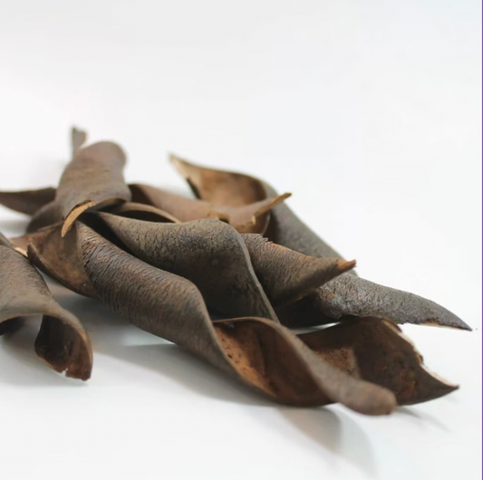 Kachna Tree Pods (3 pack)