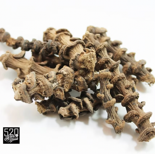Banana Stems (6 pack)