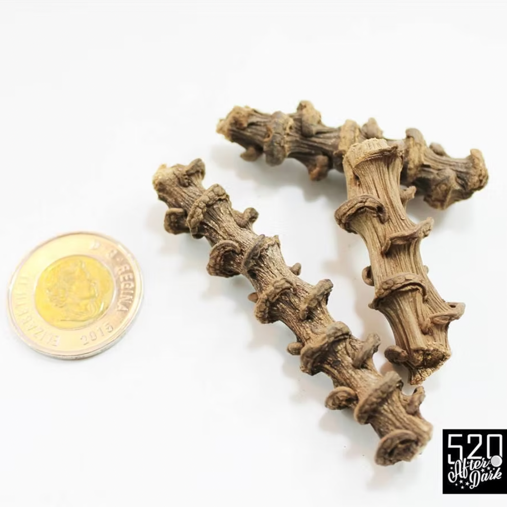 Banana Stems (6 pack)