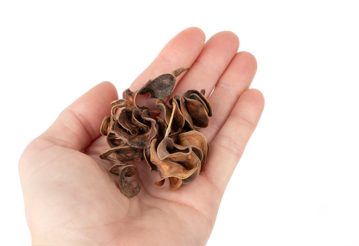 NewCal Curly Pods, 0.5 oz.