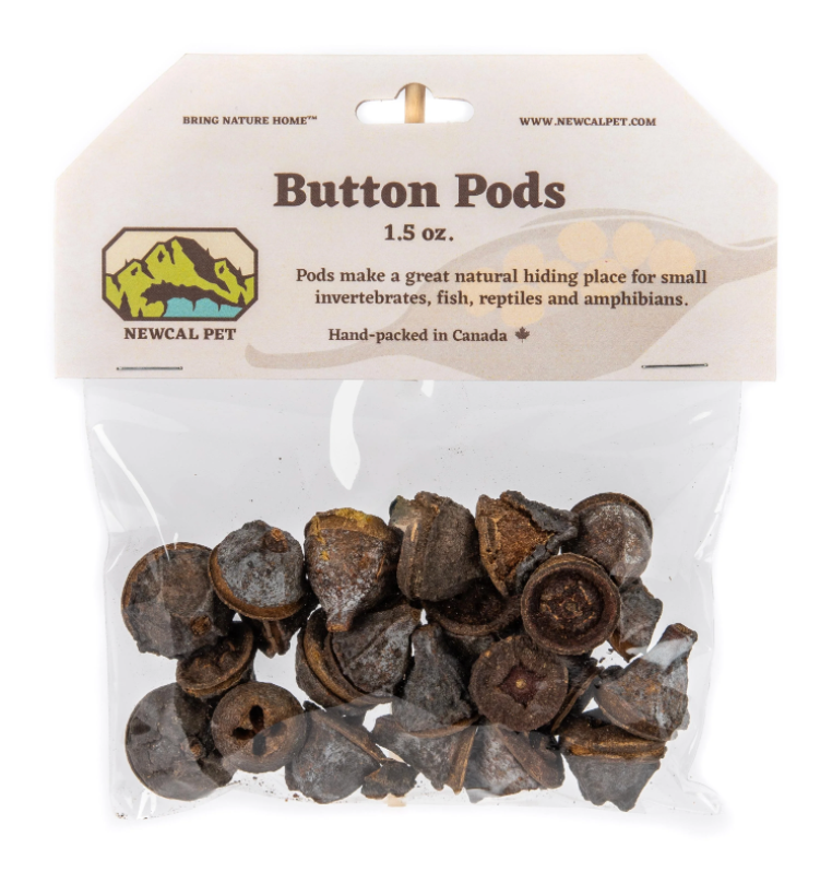 NewCal Eucalyptus Button Pods, 1.5 oz.