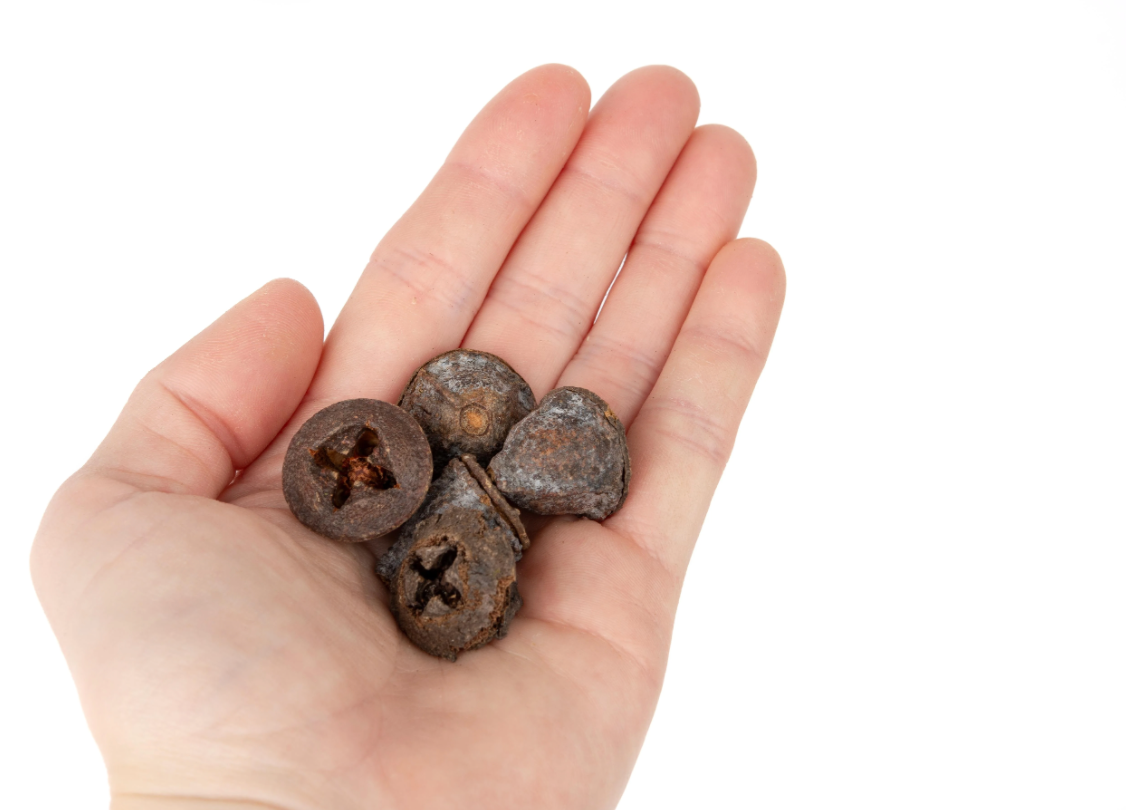 NewCal Eucalyptus Button Pods, 1.5 oz.