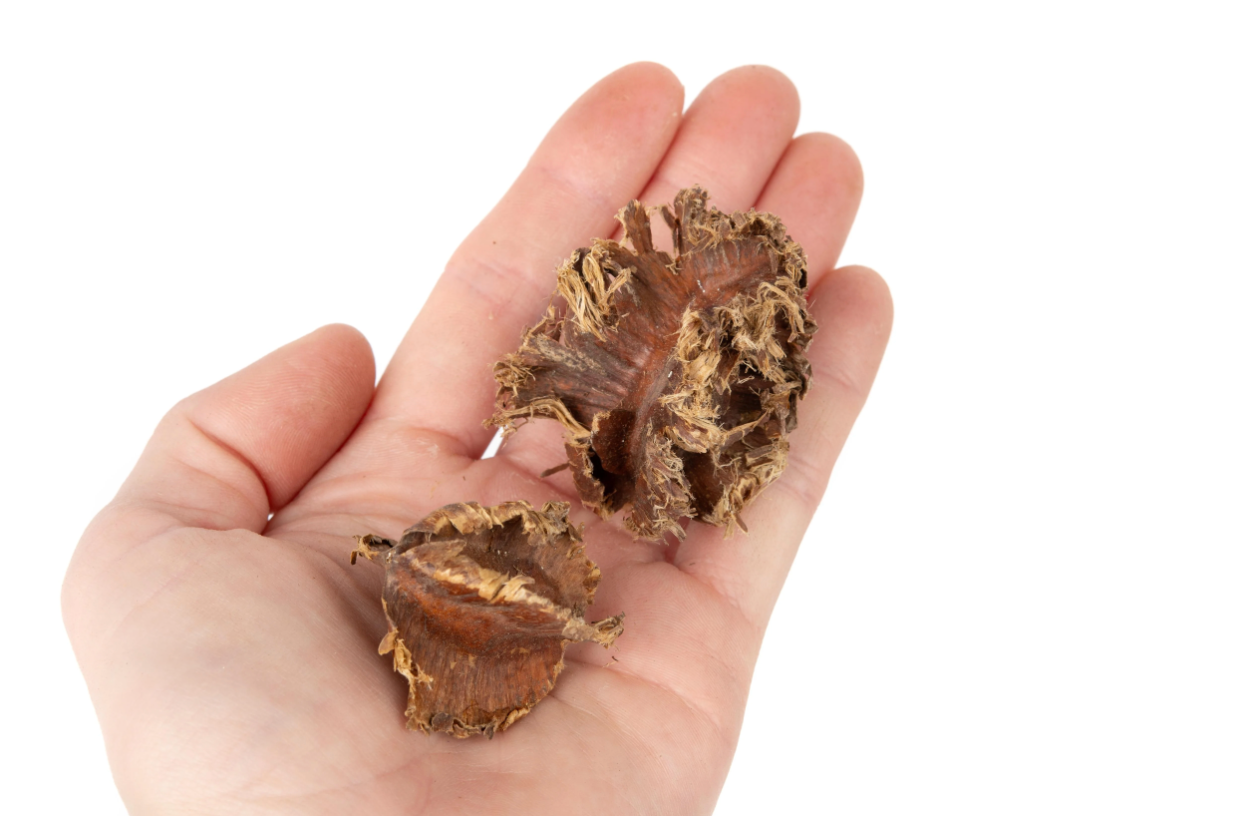 NewCal Purple Cluster Pods, 0.5 oz.