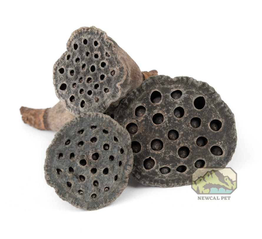 NewCal Lotus Pods Mini, 10 pack