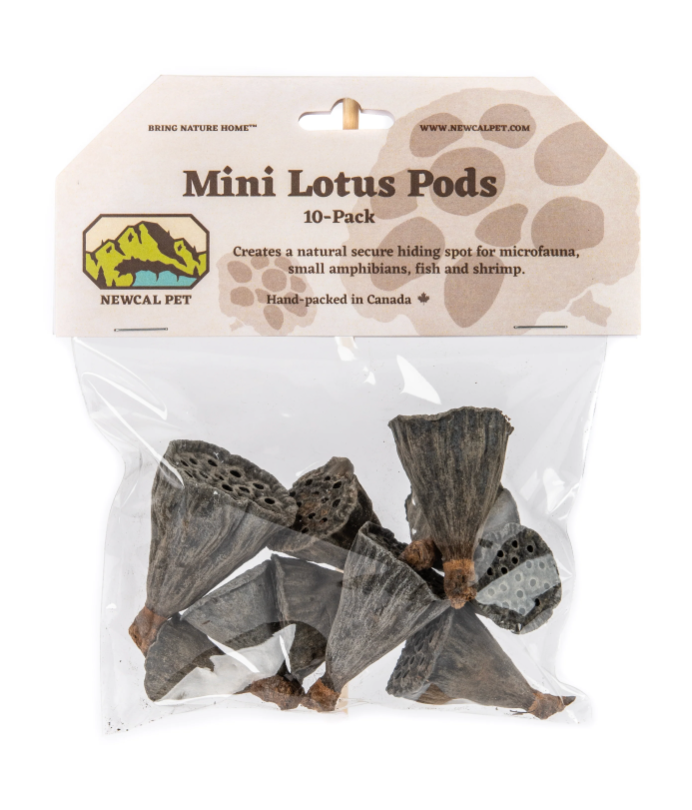 NewCal Lotus Pods Mini, 10 pack