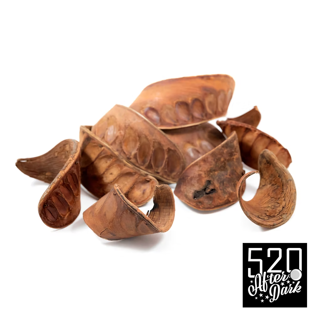 Elephant Ear Pods, 3 pack