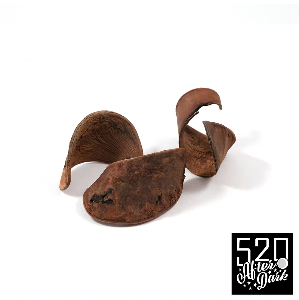 Elephant Ear Pods, 3 pack