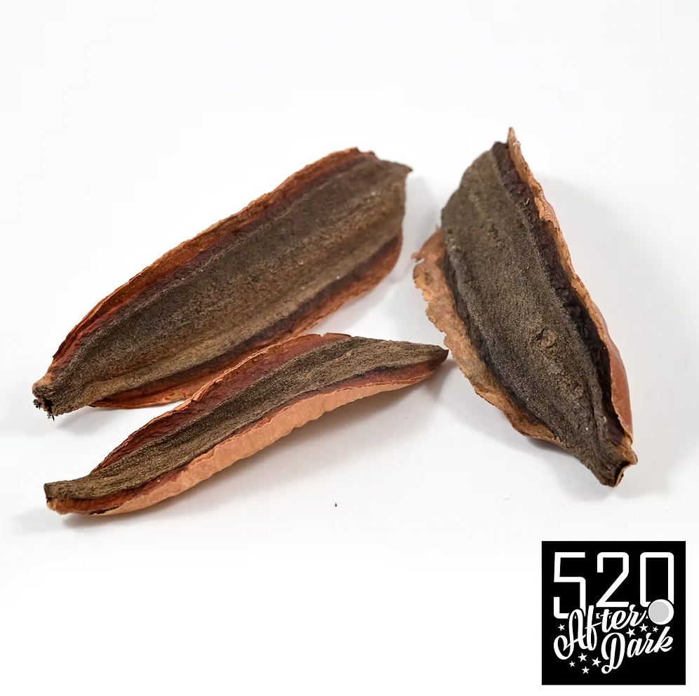 Kielmeyera Pods, 3 Pack