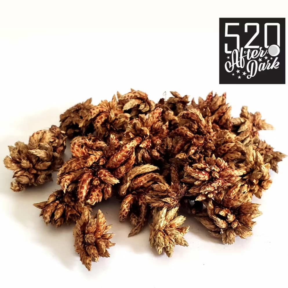 Star Flowers, 16g