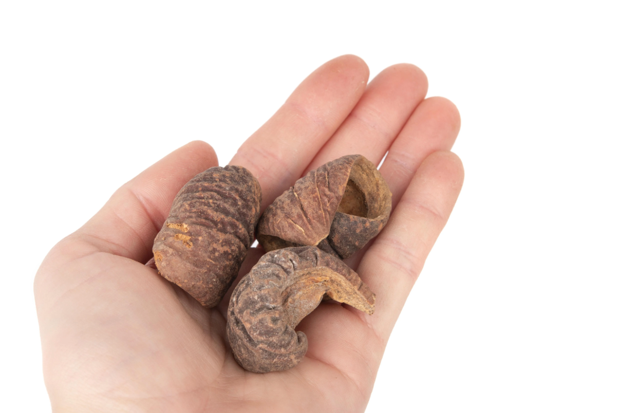 NewCal Lafi Pods, 1 oz.
