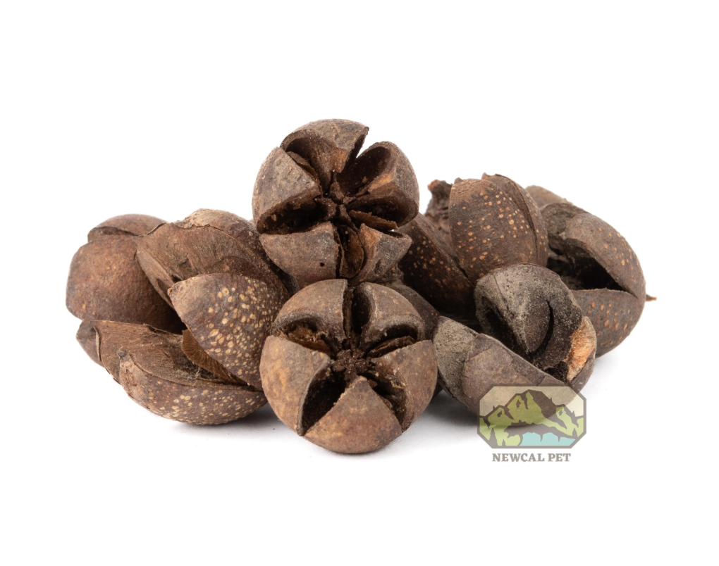 NewCal Walachi pods, 1 oz.