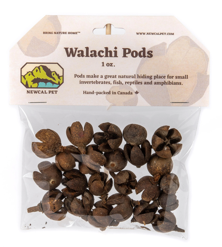 NewCal Walachi pods, 1 oz.