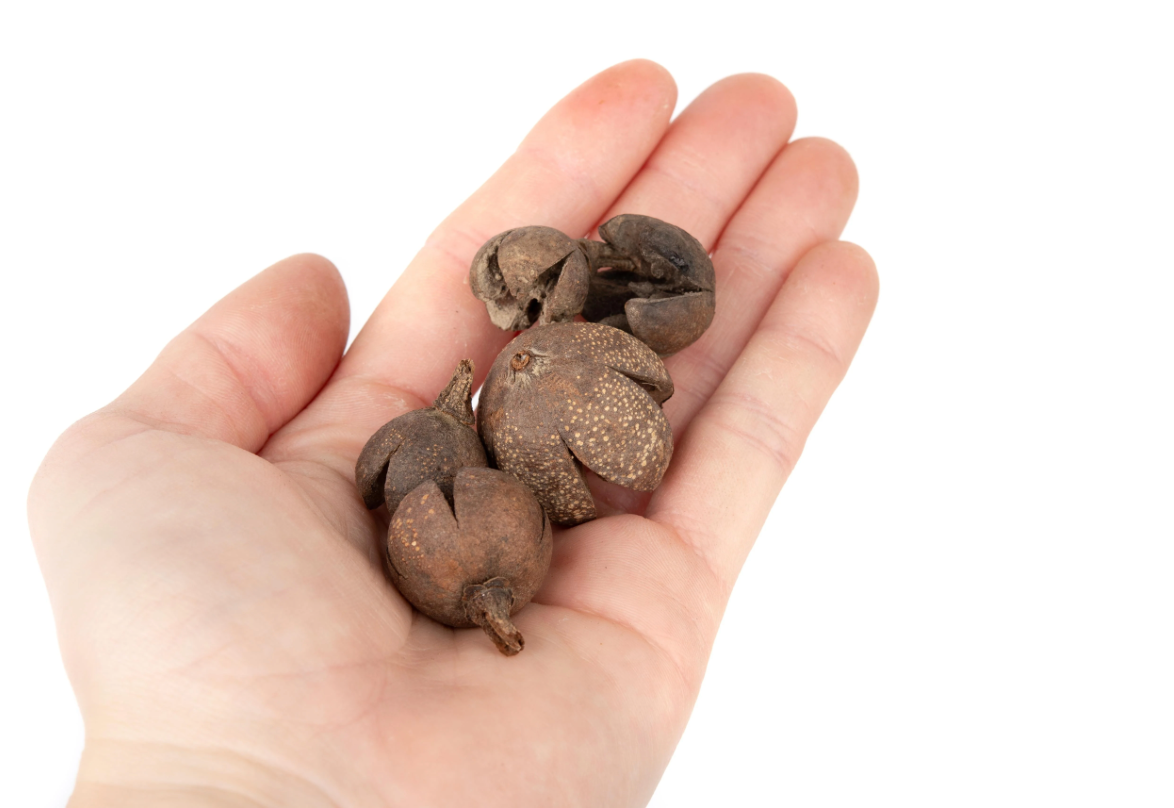 NewCal Walachi pods, 1 oz.