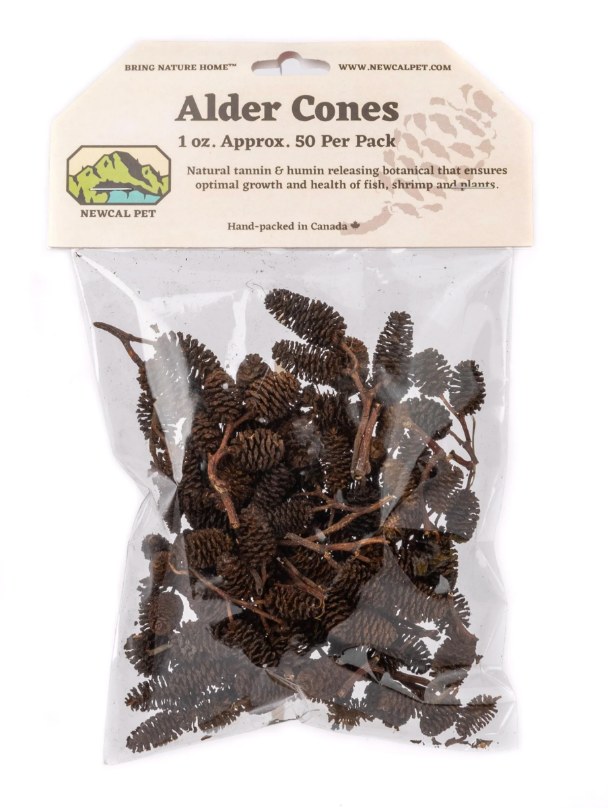 NewCal Alder Cones - 1oz